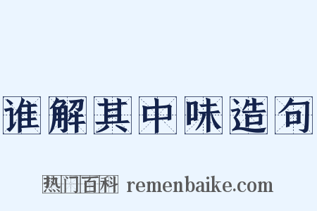 谁解其中味造句是什么意思的图片